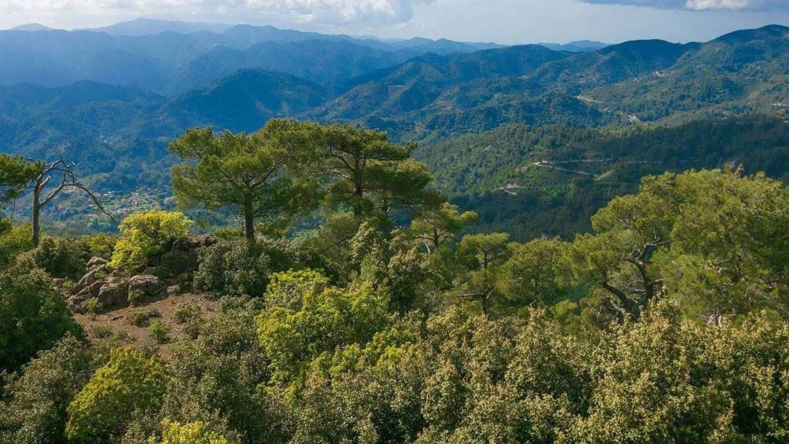 Kamery Troodos na żywo